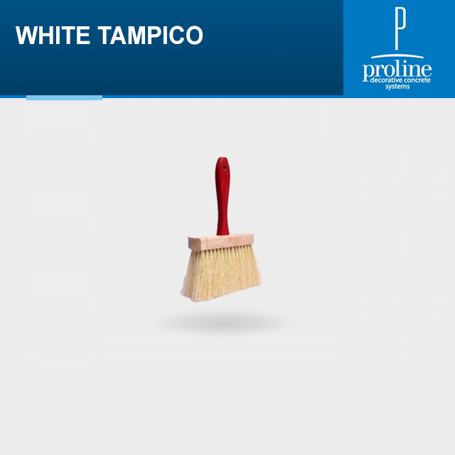 WHITE TAMPICO.png